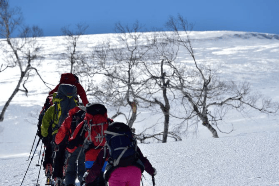 202512031111-6840679065.png 图片18.png