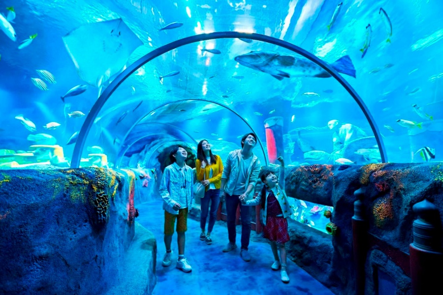 202512031404-6807779735.jpg DM_20251203132653_017.jpg