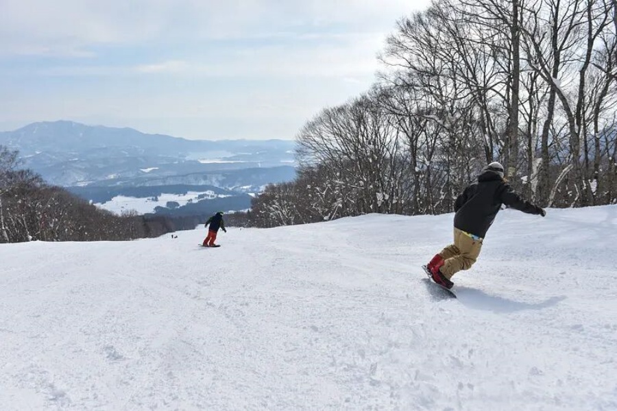 202512031729-2590619615.jpg DM_20251203171501_008.jpg