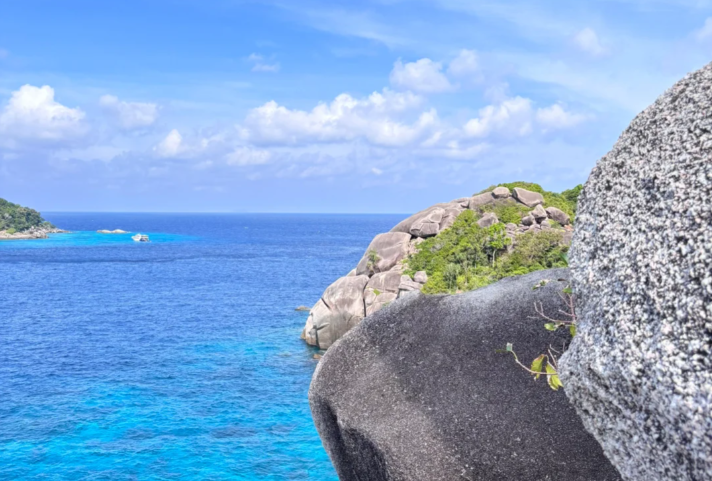 202512040941-1323428518.png image.png