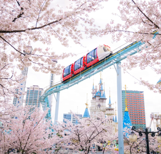 202512041115-3145424744.png image.png