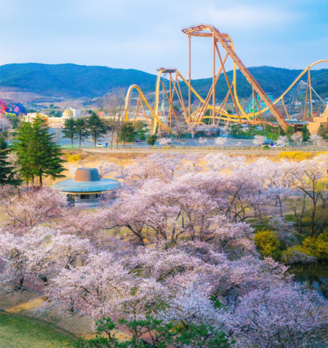 202512041116-3714081381.png image.png