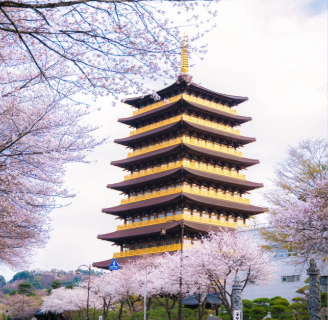 202512041116-3869814391.png image.png