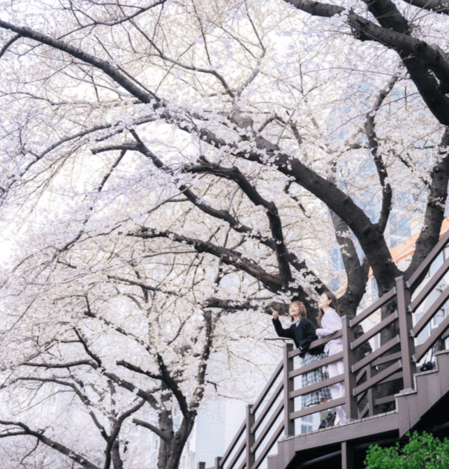 202512041116-7579455917.png image.png