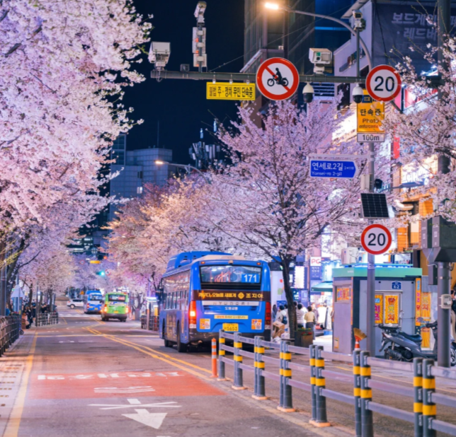 202512041116-8068354514.png image.png