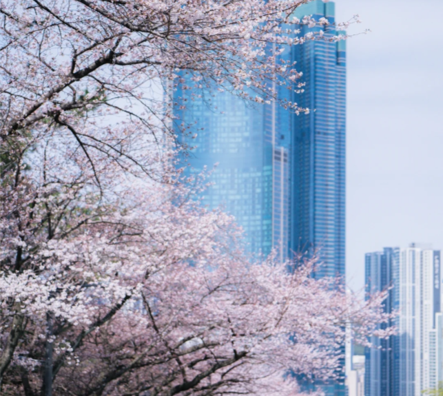 202512041117-2048083300.png image.png