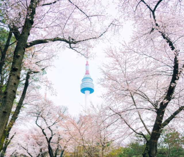 202512041117-5954364761.png image.png