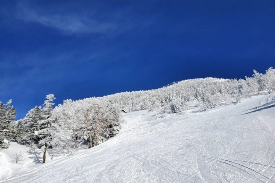 202512041330-8818636878.jpg DM_20251204115810_005.jpg