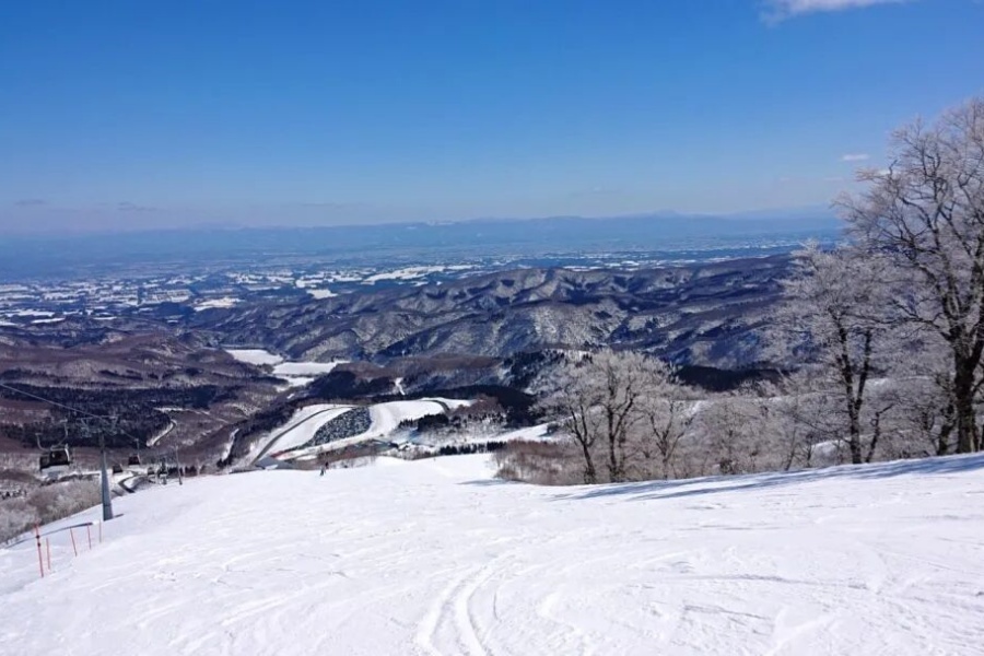 202512041558-1444770036.jpg DM_20251204115810_007.jpg