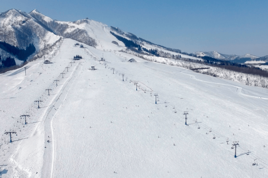 202512041600-5099266665.png png (1).png