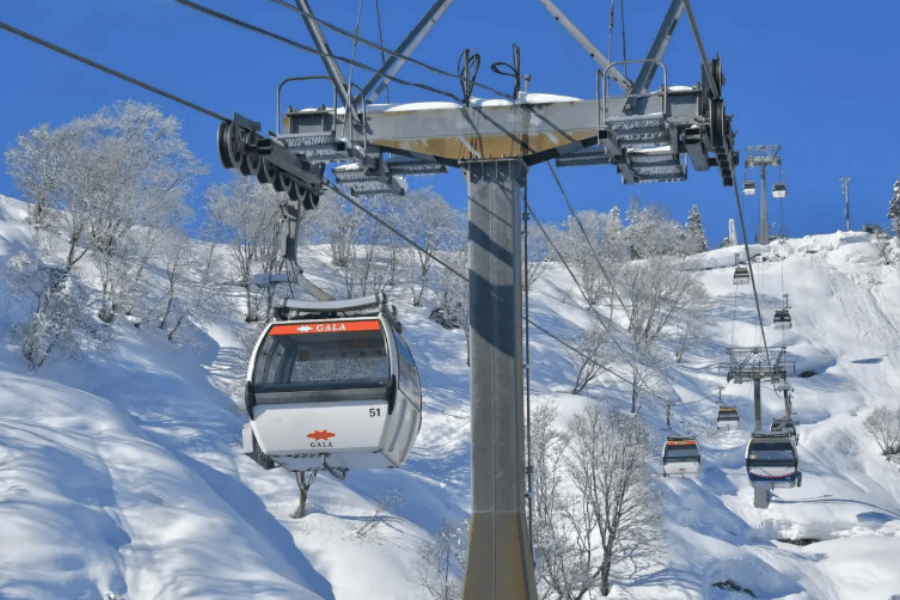 202512041601-1356893945.png 屏幕截图 2025-10-14 131636.png