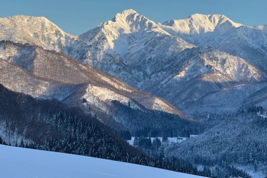 202512041601-7239759665.jpg 微信图片_2025-10-16_163239_465.jpg