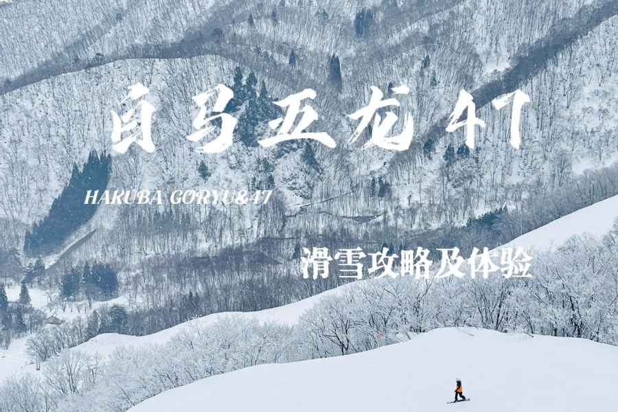 202512041707-7921163756.jpg 白马五龙47滑雪场体验_1_Summerxy_来自小红书网页版.jpg