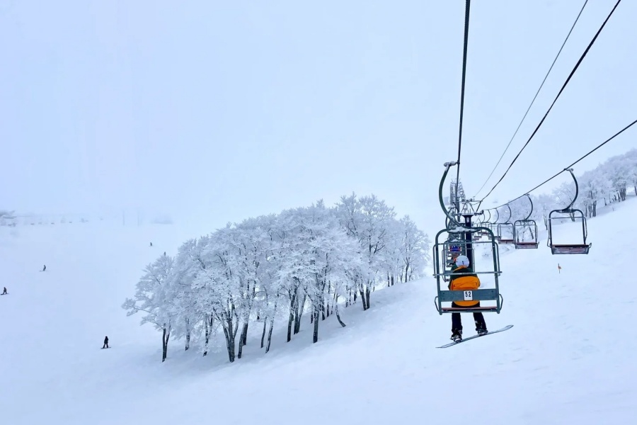 202512041708-3687166524.jpg 白马五龙47滑雪场体验_7_Summerxy_来自小红书网页版.jpg