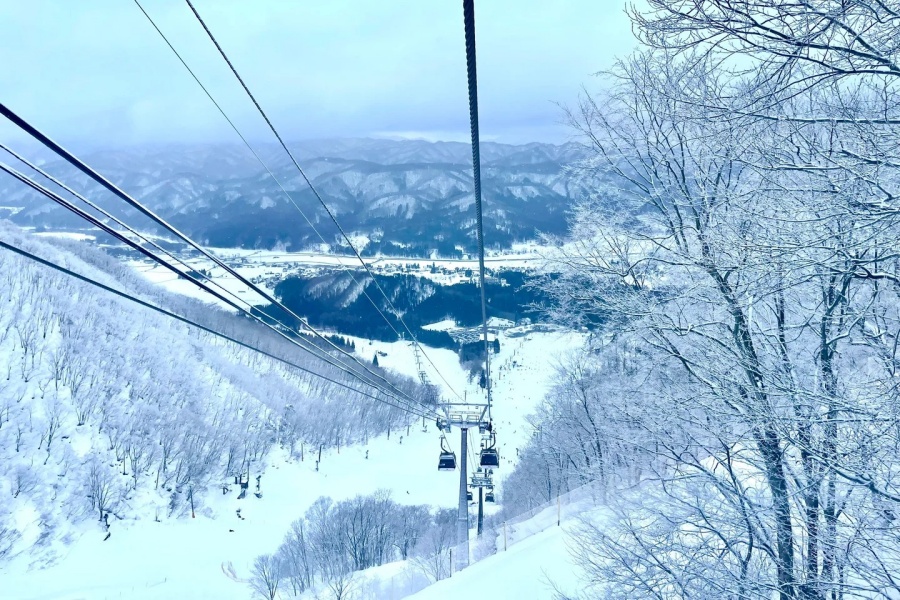 202512041708-6807770521.jpg 白马五龙47滑雪场体验_3_Summerxy_来自小红书网页版.jpg