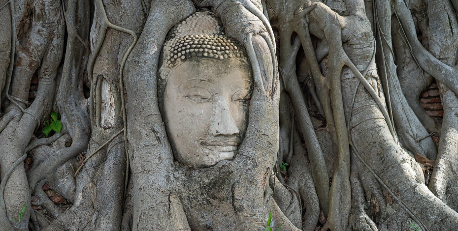 202512061114-4088401081.jpg undefined (5).jpg