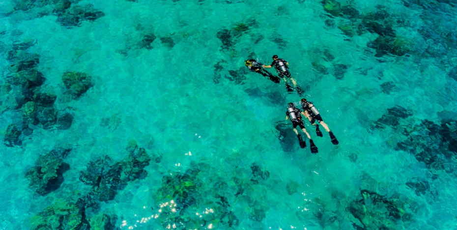 202512061339-4341967063.jpg undefined (3).jpg