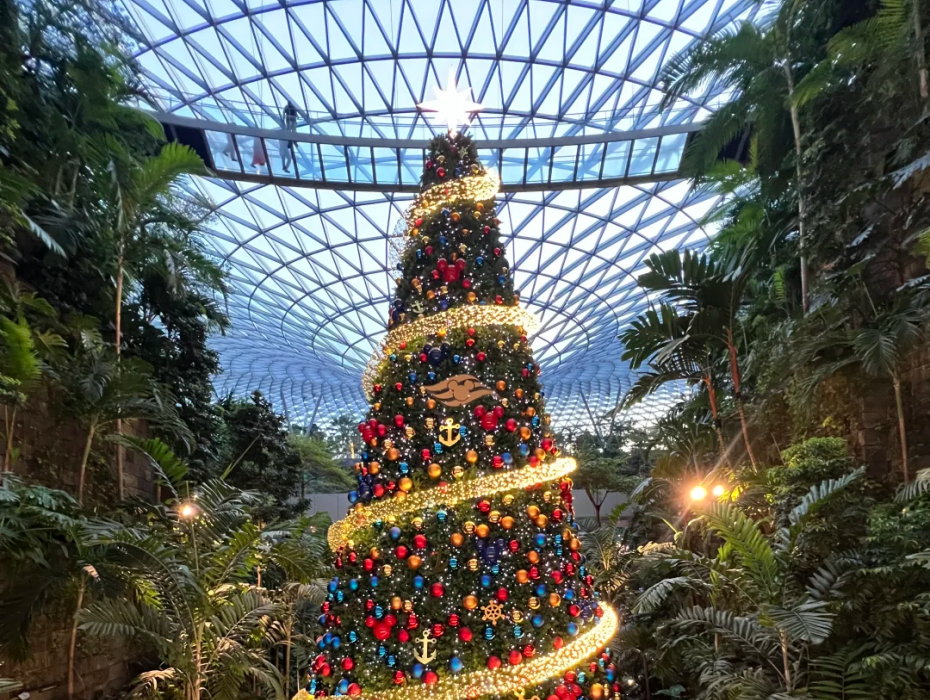 202512061417-1338019860.png 企业微信截图_17648152664410.png