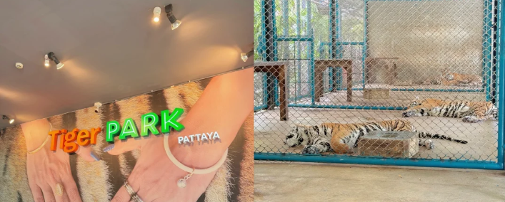 202512061433-4744932556.png image.png