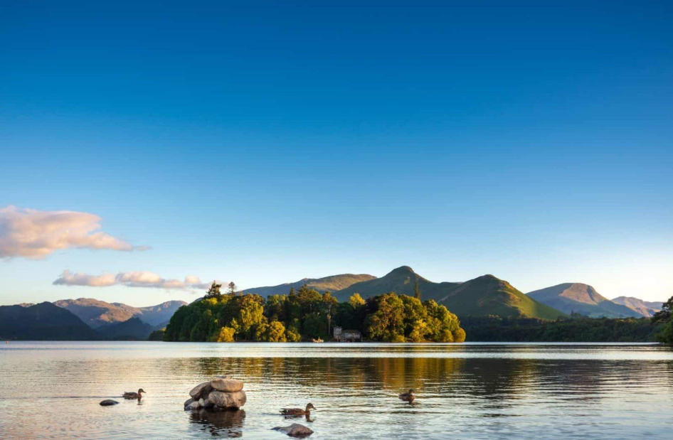 202512081005-4049106438.png image.png