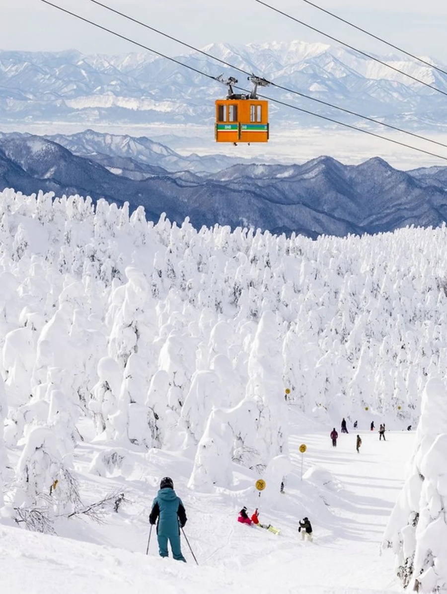 202512081014-2751196095.jpg 25年日本下雪时间来了❗北海道已经下雪❄_9_Wetour玩乐精选_来自小红书网页版.jpg