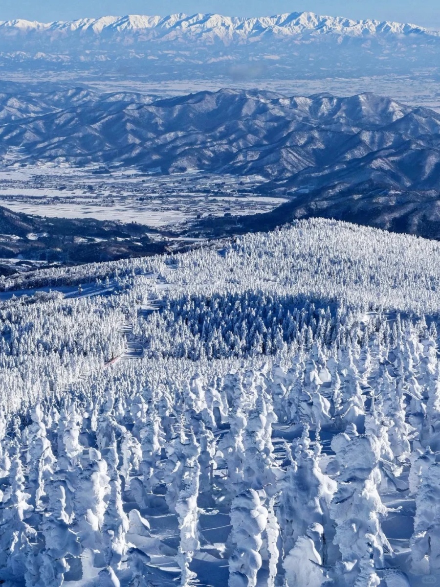 202512081017-4825878600.jpg 银山温泉|游客味很重...可1-3月雪景好梦幻_11_圈圈的旅行圈_来自小红书网页版.jpg
