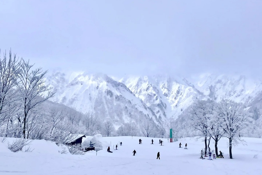 202512081017-5199326044.jpg 白马五龙47滑雪场体验_6_Summerxy_来自小红书网页版.jpg