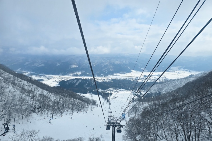 202512081045-6220756004.jpg DM_20251208103057_011.jpg