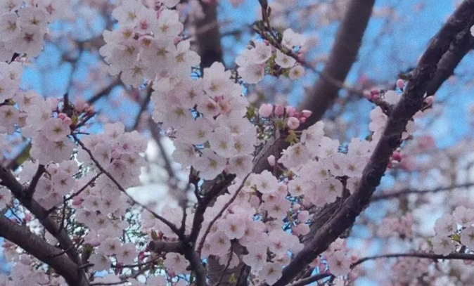 202512081057-2855385633.png image.png