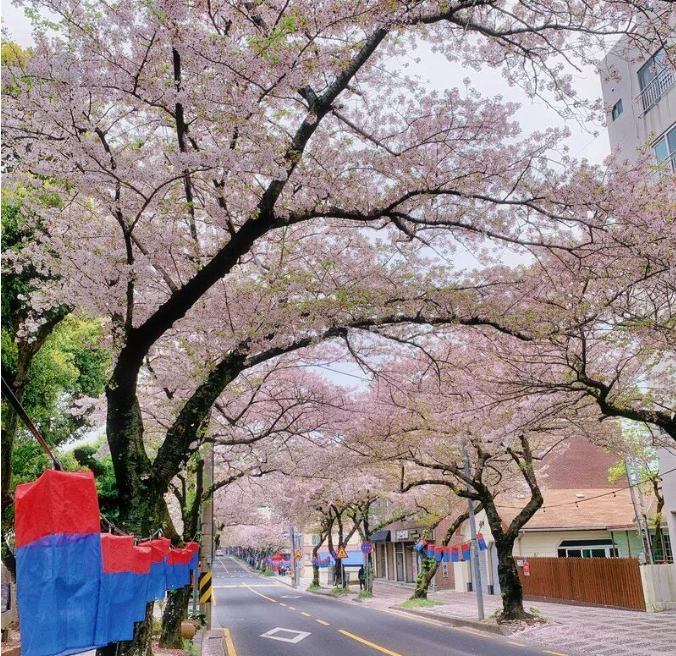 202512081057-8927965425.png image.png