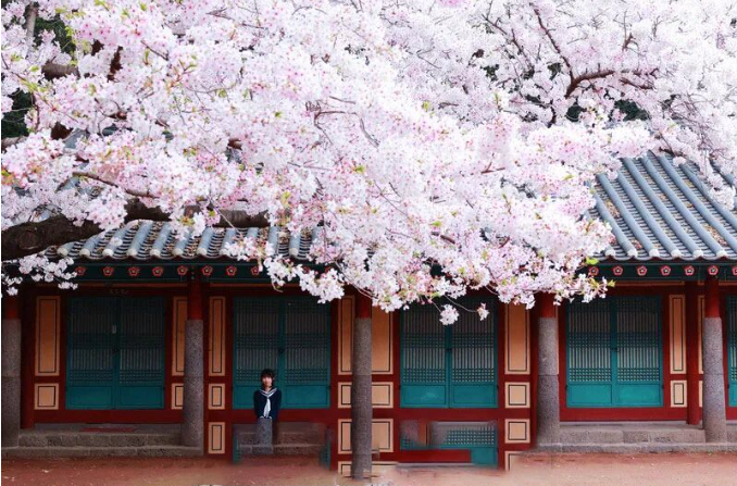 202512081057-9939067046.png image.png