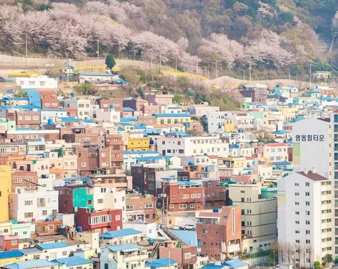 202512081058-1341092018.png image.png