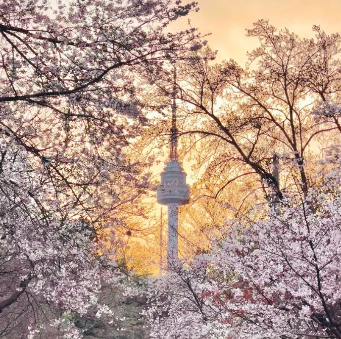 202512081058-3712038155.png image.png