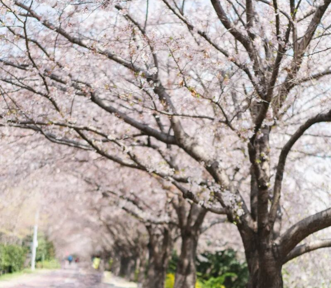 202512081058-5376273485.png image.png