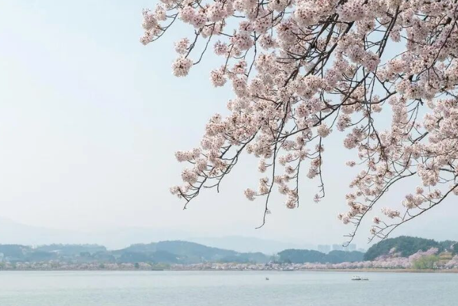 202512081059-4835702110.png image.png