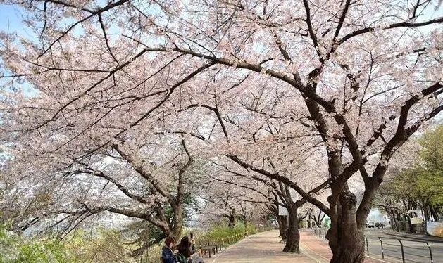 202512081105-1458716032.png image.png