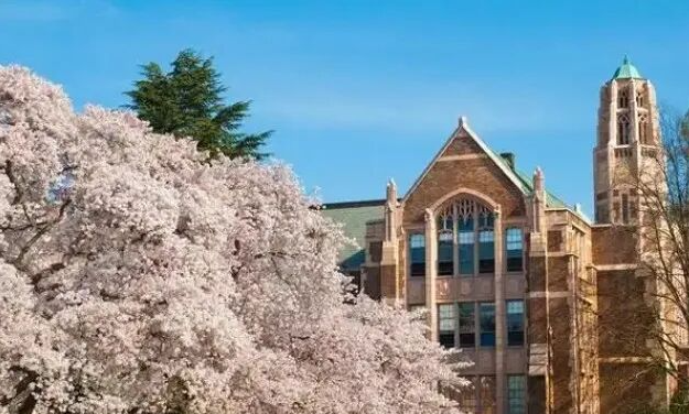 202512081105-4359834494.png image.png