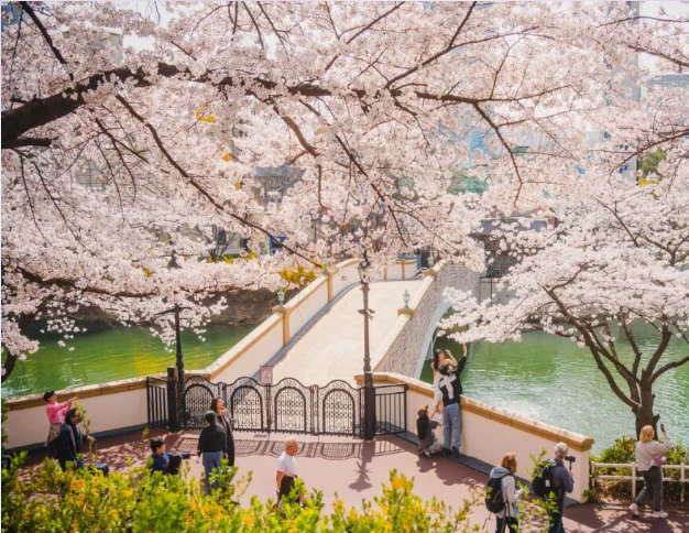 202512081106-7714299967.png image.png