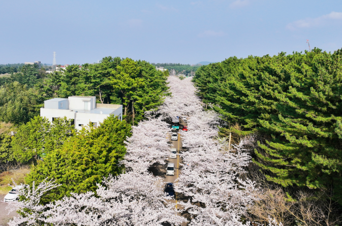 202512081313-1630646904.png image.png