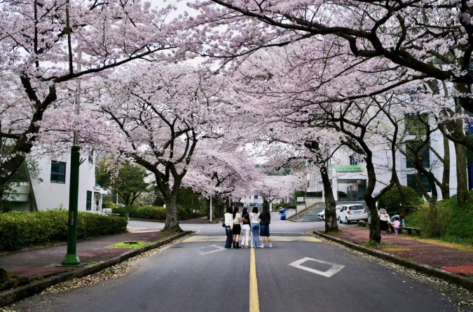 202512081313-2851829655.png image.png