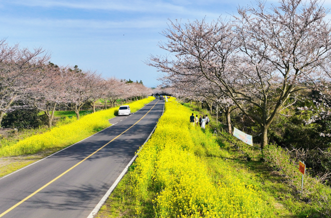 202512081314-7841050244.png image.png