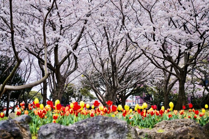 202512081315-1631427883.png image.png