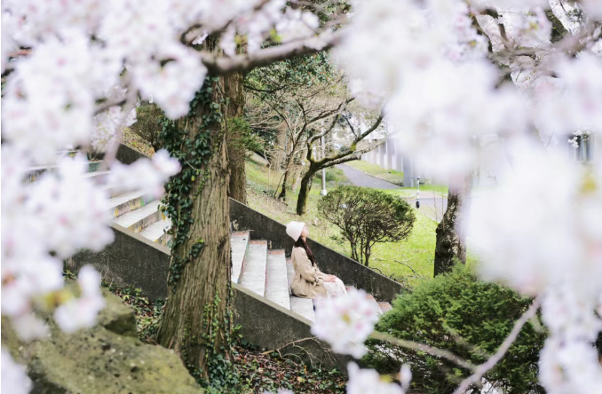 202512081315-6244155508.png image.png