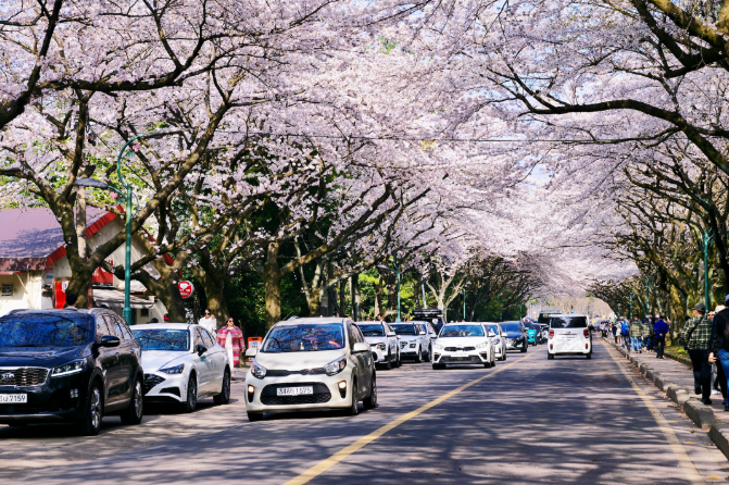 202512081315-6442836902.png image.png