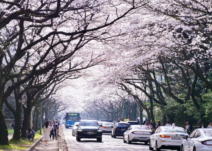 202512081315-6519004673.png image.png