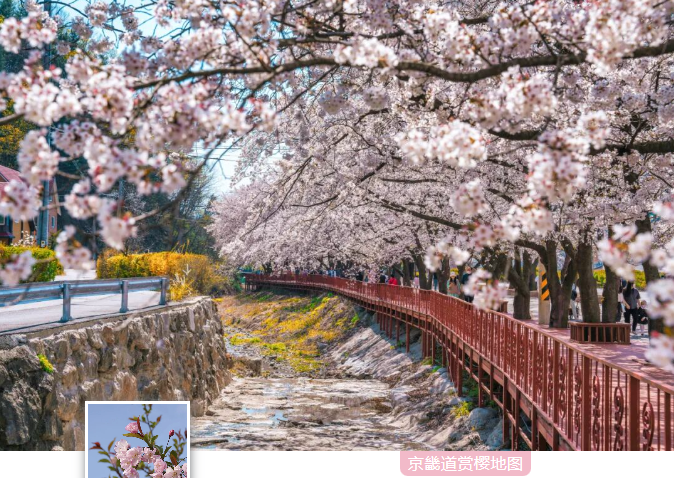 202512081321-2364976954.png image.png