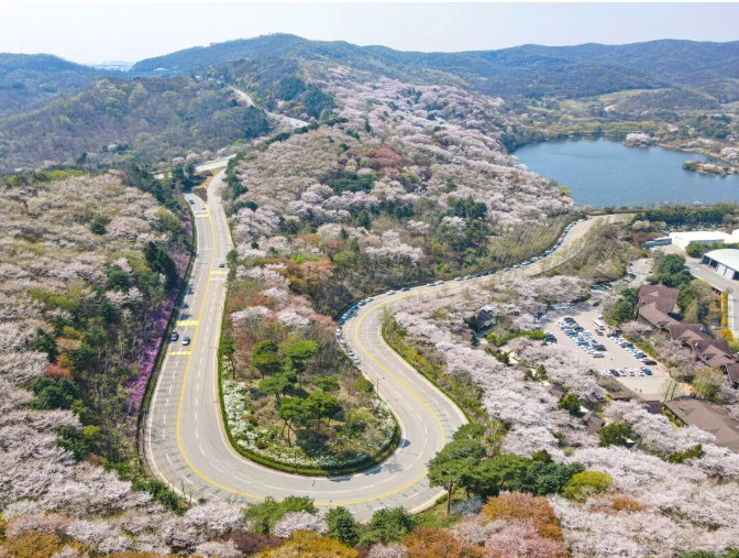 202512081322-6994179740.png image.png