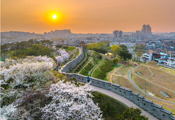 202512081324-7123168142.png image.png