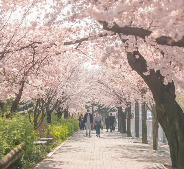 202512081330-5037828641.png image.png