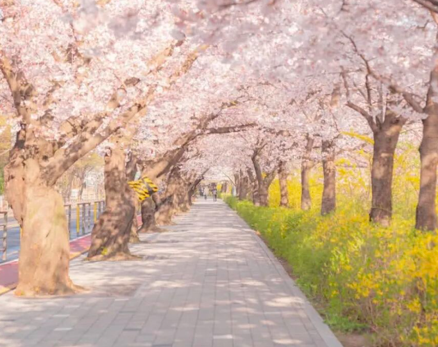 202512081330-9852654193.png image.png